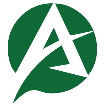 Anonpay Logo